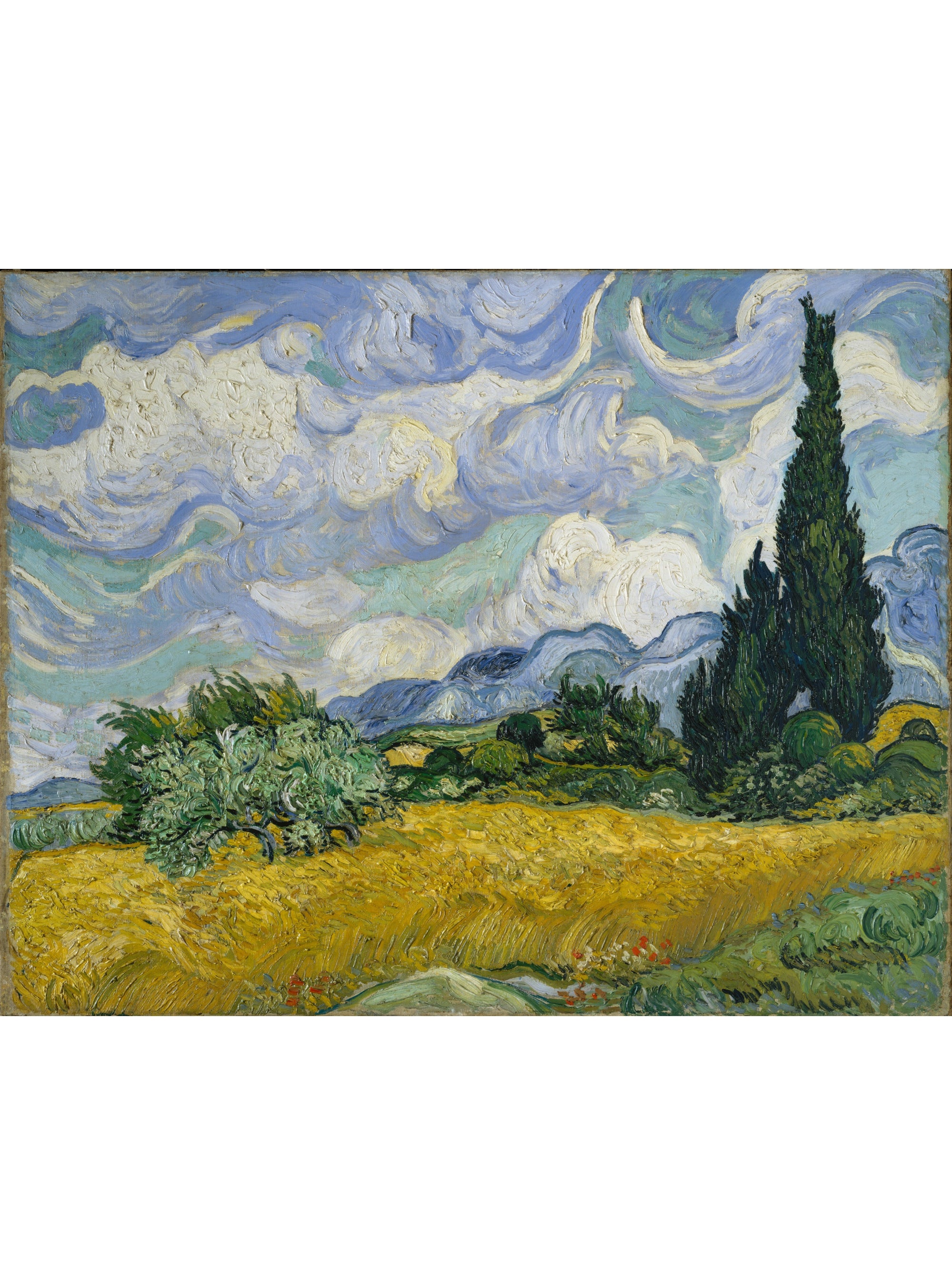 Wheat Field With Cypresses